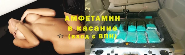 прущие грибы Аркадак