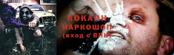прущие грибы Аркадак