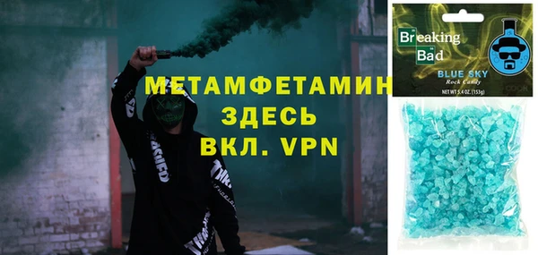 прущие грибы Аркадак